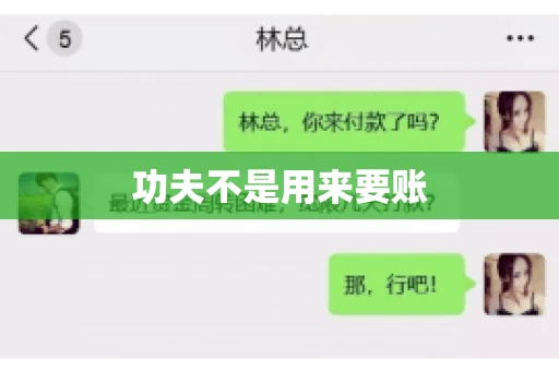 功夫不是用来要账