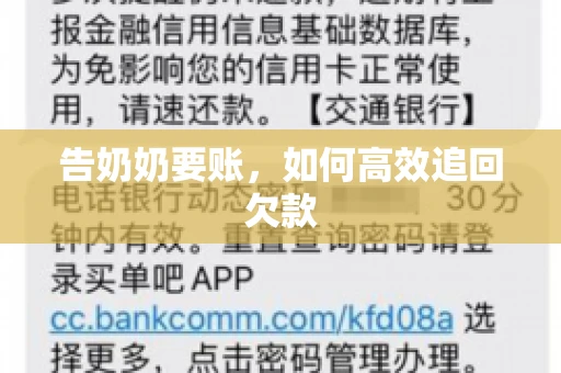 告奶奶要账，如何高效追回欠款