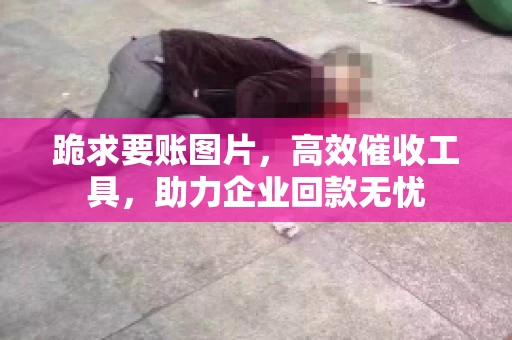跪求要账图片，高效催收工具，助力企业回款无忧