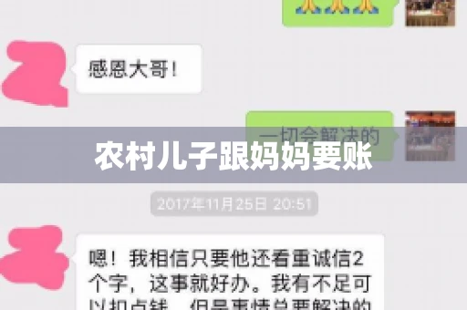 农村儿子跟妈妈要账