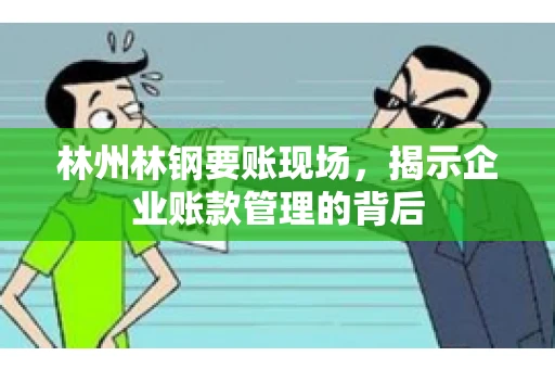 林州林钢要账现场，揭示企业账款管理的背后