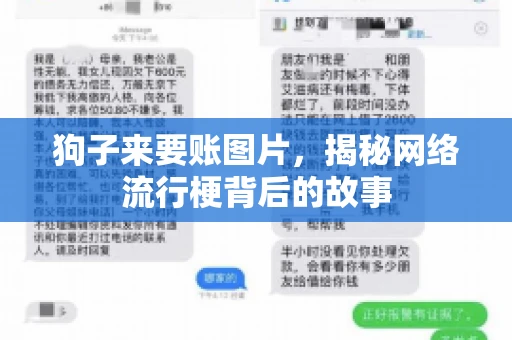 狗子来要账图片，揭秘网络流行梗背后的故事