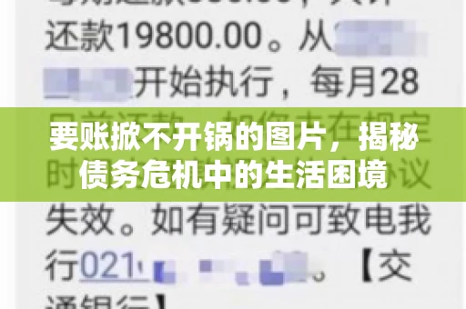 要账掀不开锅的图片,揭秘债务危机中的生活困境 要账掀不开锅的图片,揭秘债务危机中的生活困境