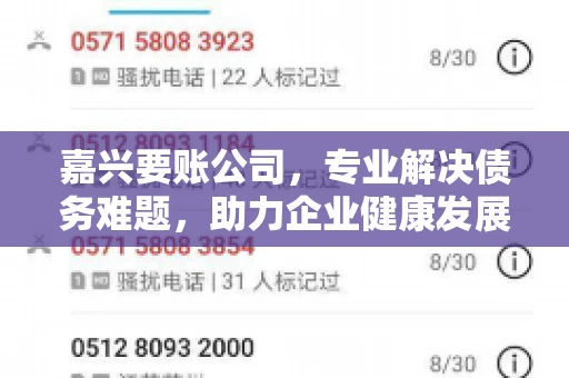 嘉兴要账公司，专业解决债务难题，助力企业健康发展