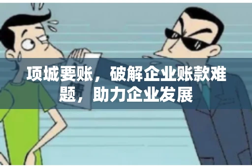 项城要账，破解企业账款难题，助力企业发展