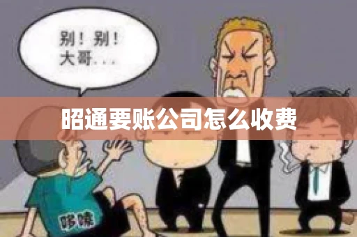 昭通要账公司怎么收费