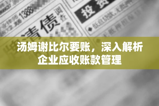 汤姆谢比尔要账，深入解析企业应收账款管理