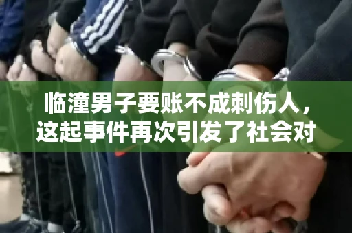 临潼男子要账不成刺伤人，这起事件再次引发了社会对讨债行为的关注。在这个故事中，我们不仅要了解事件的经过，还要思考如何避免类似悲剧的发生。