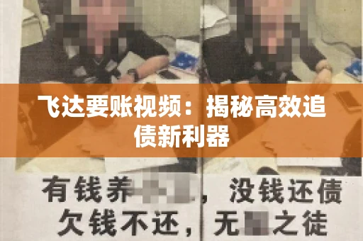 飞达要账视频：揭秘高效追债新利器