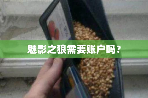 魅影之狼需要账户吗？