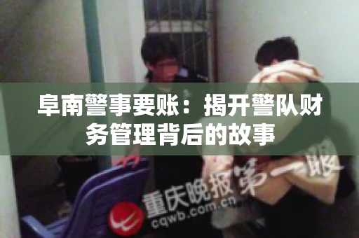 阜南警事要账：揭开警队财务管理背后的故事