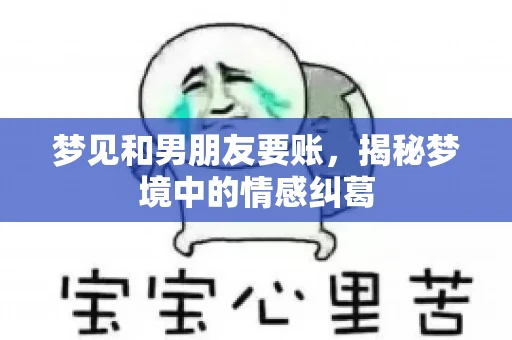 梦见和男朋友要账，揭秘梦境中的情感纠葛