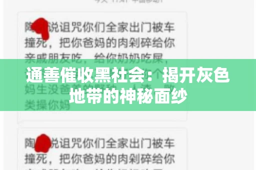 通善催收黑社会：揭开灰色地带的神秘面纱