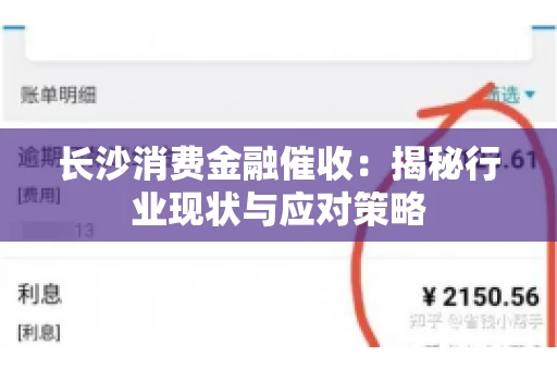 长沙消费金融催收：揭秘行业现状与应对策略